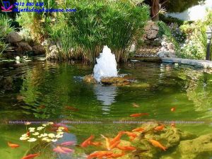 Đài phun nước mini tiểu cảnh 7