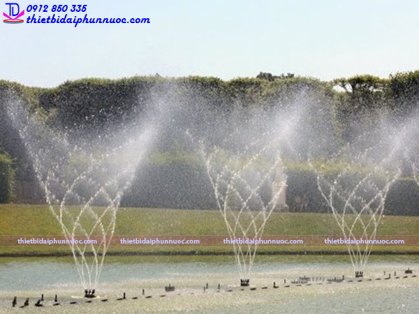 Vòi phun nước quay tròn 3