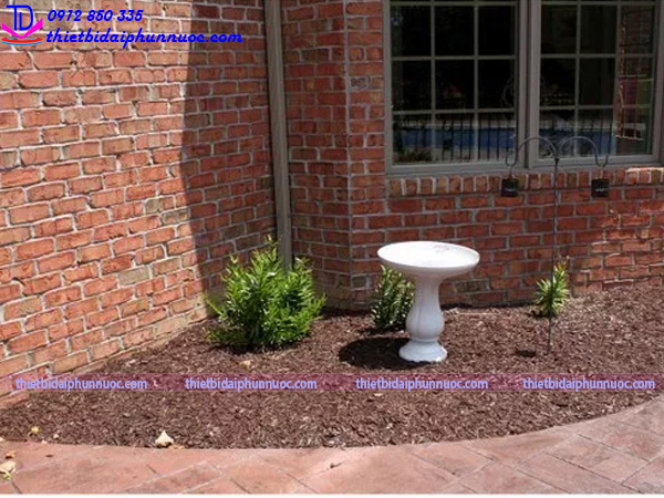 Cách làm tiểu cảnh nước 2