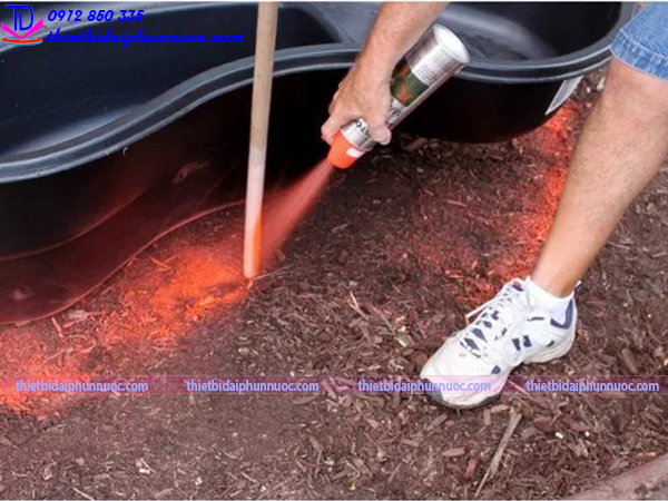 Cách làm tiểu cảnh nước 3