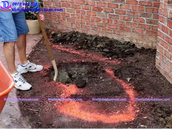 Cách làm tiểu cảnh nước 5