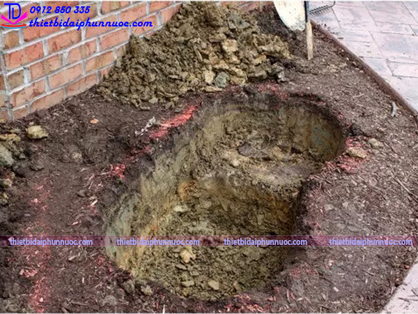 Cách làm tiểu cảnh nước 6