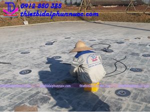 Nhạc ước âm sàn công viên Artemis 5