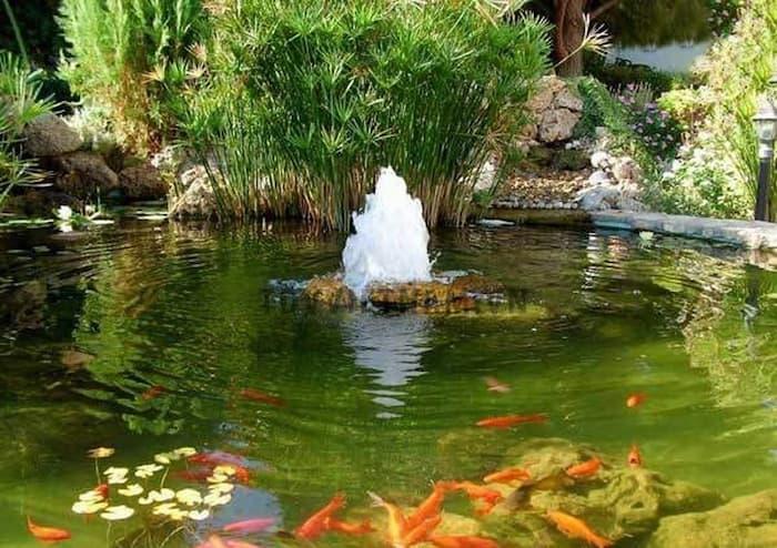 Các mẫu mẫu đài phun nước bể cá đẹp cho biệt thự 
