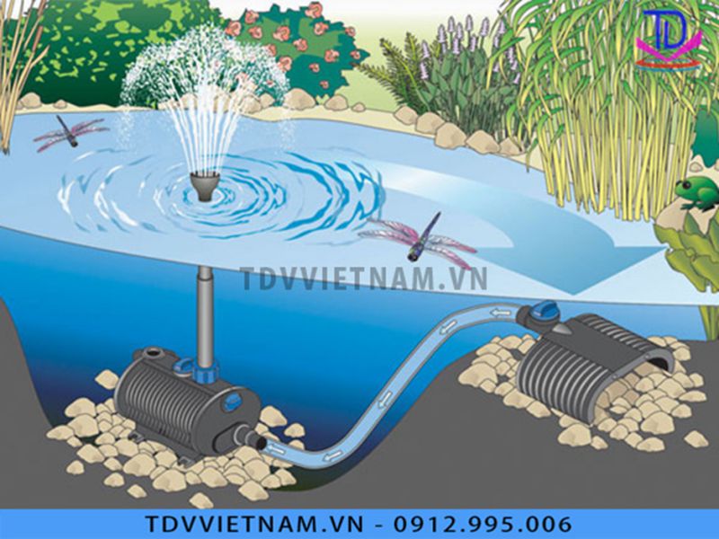 Cấu tạo đài phun nước bể cá bao gồm những gì?