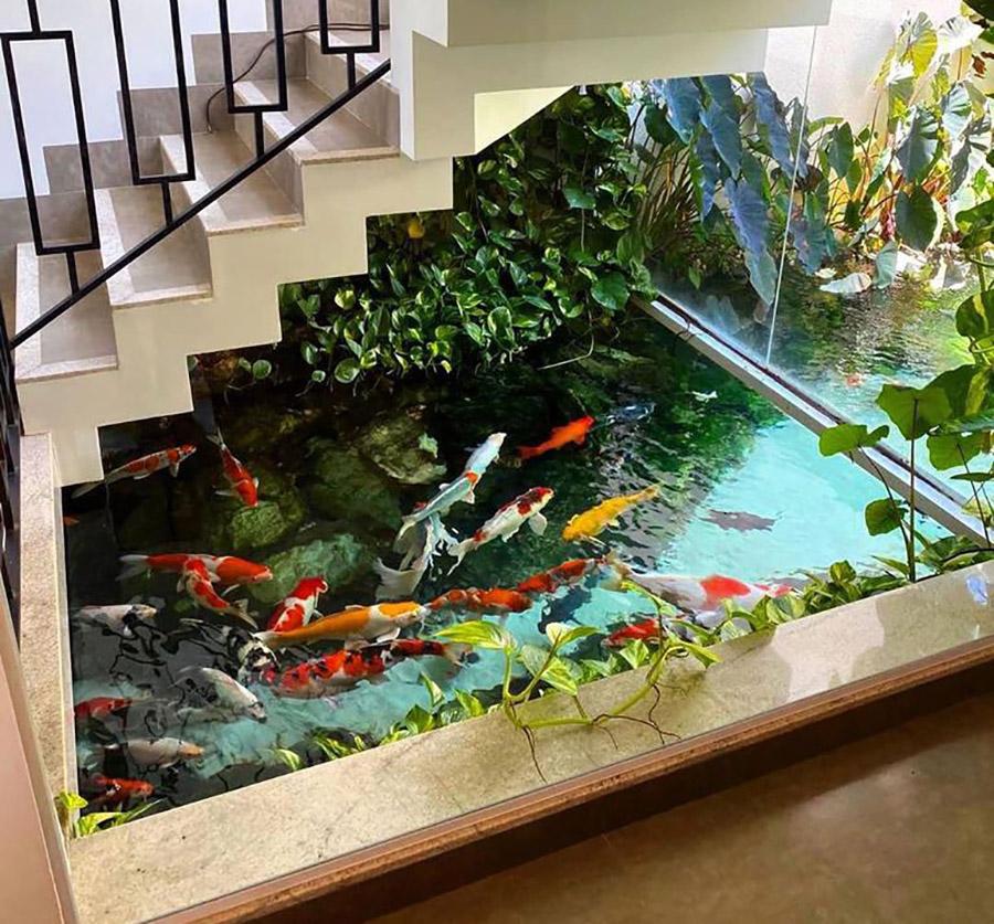 Đài phun nước bể cá đặt trong nhà 